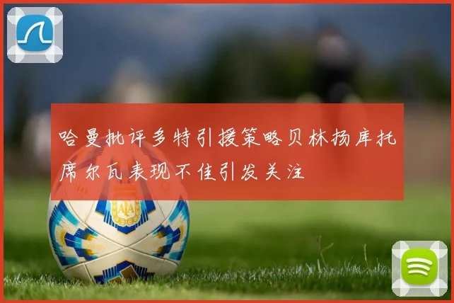 哈曼批评多特引援策略贝林扬库托席尔瓦表现不佳引发关注