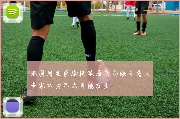 老鹰用里萨谢换浓眉交易缺乏意义专家认为不太可能发生