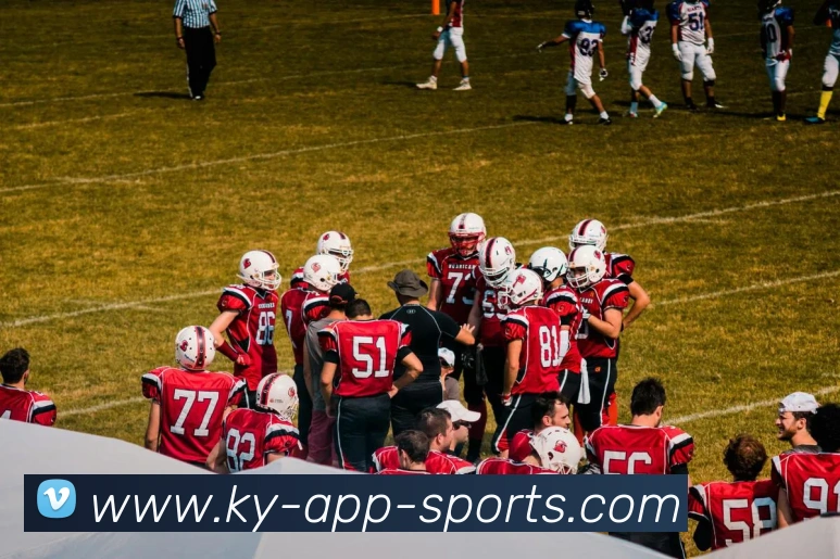 开云体育APP 封面图